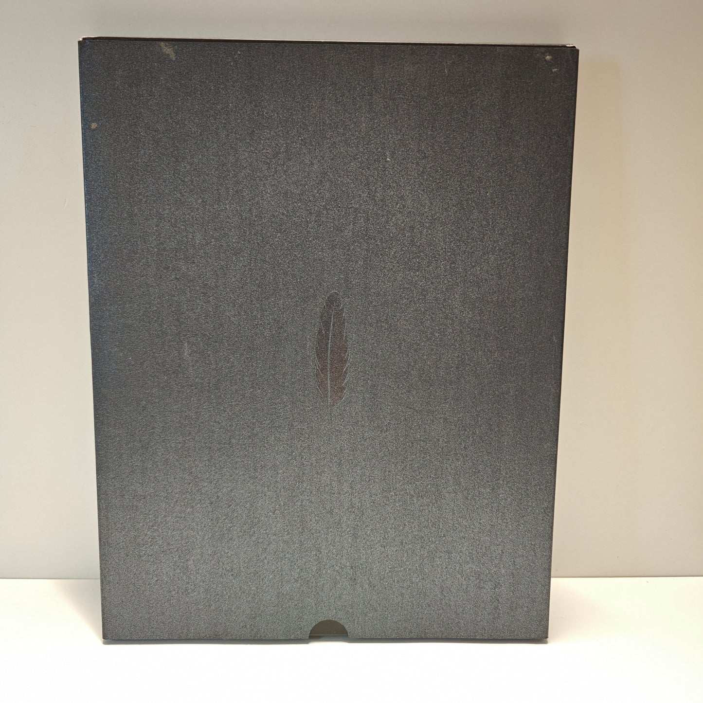 The Last Guardian Press Kit