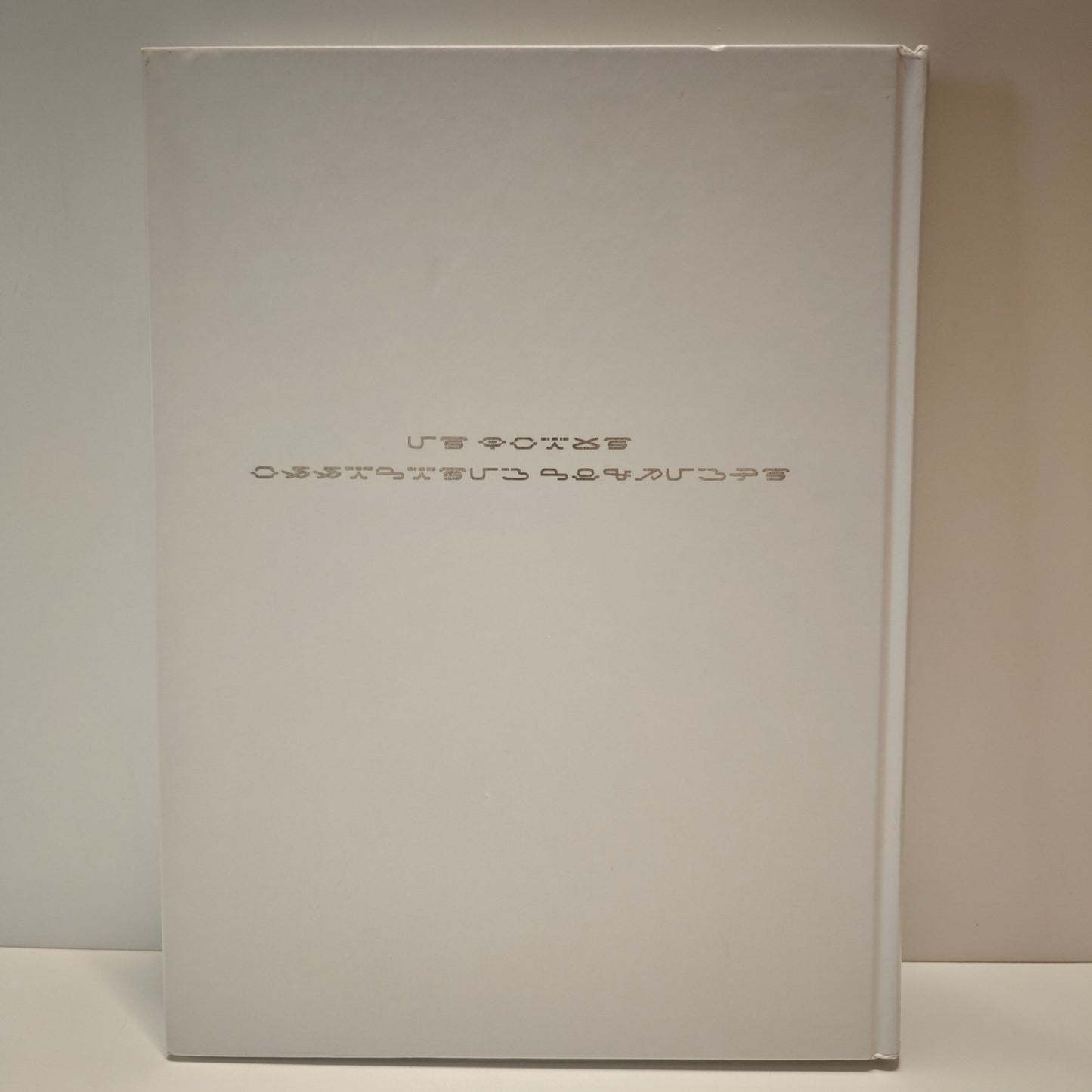 Final Fantasy XIII 13 Guida Edizione Da Collezione