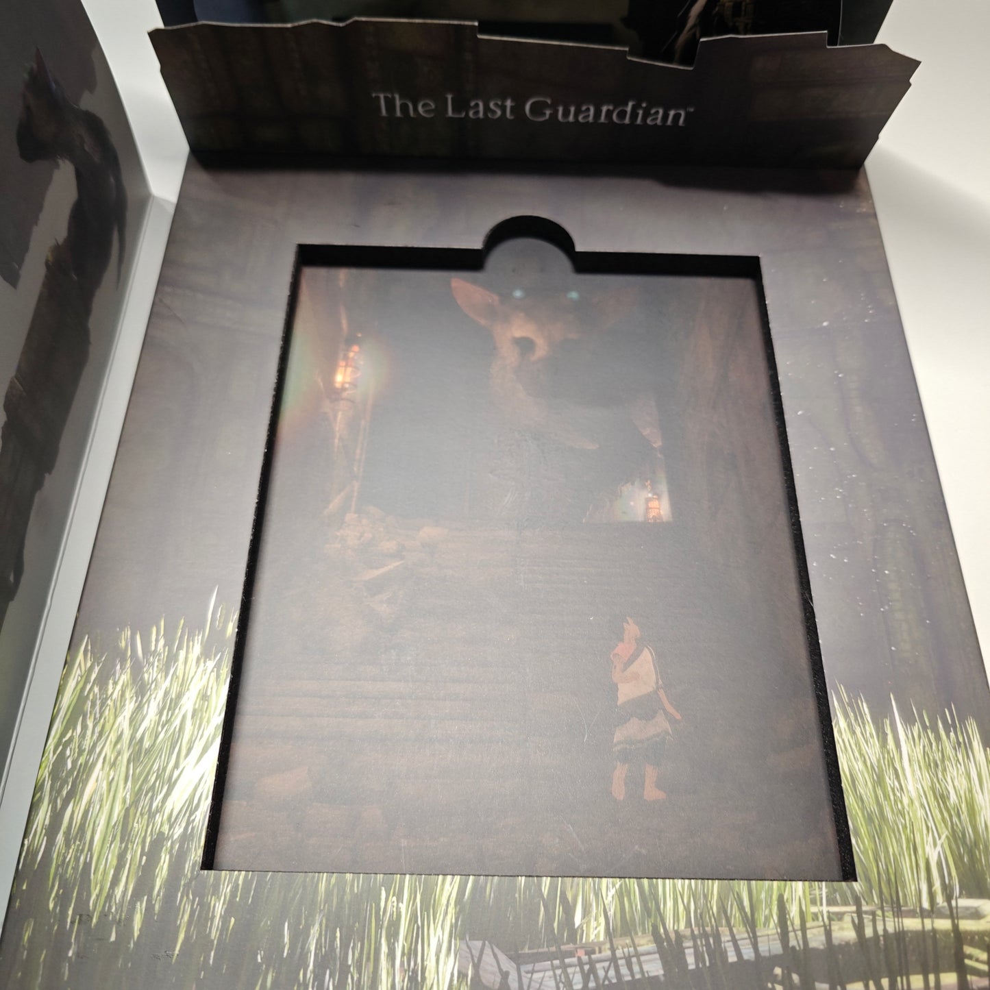 The Last Guardian Press Kit