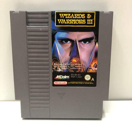 Wizards & Warriors III