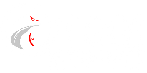 Otogi Retrogames