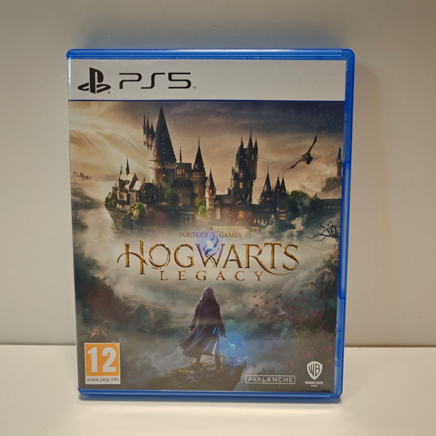 Hogwarts Legacy