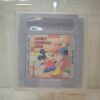 Mickey's Dangerous Chase