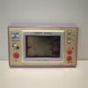 PSP 1004