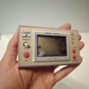 PSP 1004