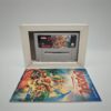 Super Nintendo More Fun Set