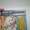 The Legend Of Zelda Link's Awakening DX Guida Strategica