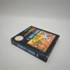 Ghost n Goblins NES