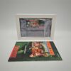 Box PVC Protector Giochi Wii (GIOCO NON INCLUSO)