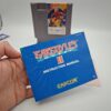 Ghost n Goblins NES