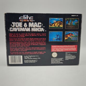 Ghost n Goblins NES