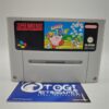 Megaman e Bass GBA
