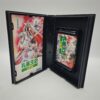 Ghost n Goblins NES