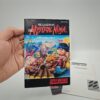 Ghost n Goblins NES